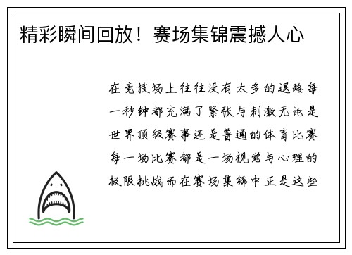 精彩瞬间回放！赛场集锦震撼人心
